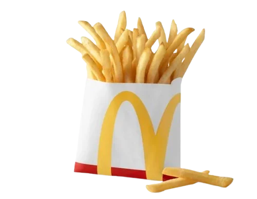 Small World Famous Fries®